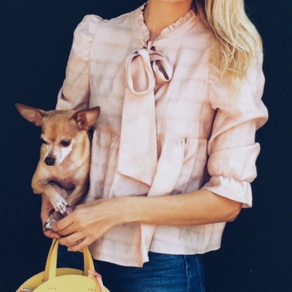 Zara blouse